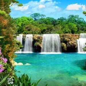 Meet your Posher, Pauline